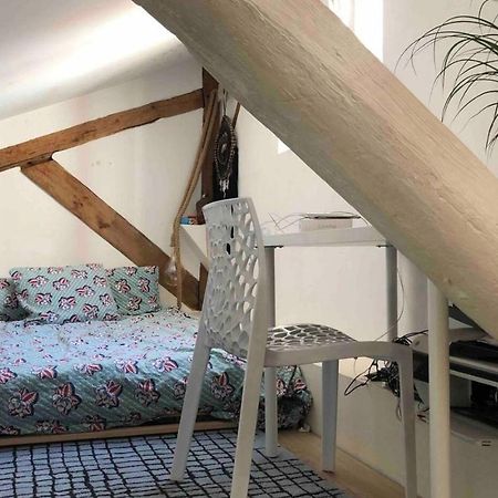 דירות Coeur De Lyon Avec Terrasse Et Jacuzzi מראה חיצוני תמונה