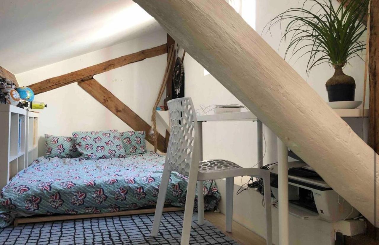 דירות Coeur De Lyon Avec Terrasse Et Jacuzzi מראה חיצוני תמונה